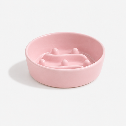 Premium Ceramic Slow Feeder Bowl for Dogs & Cats