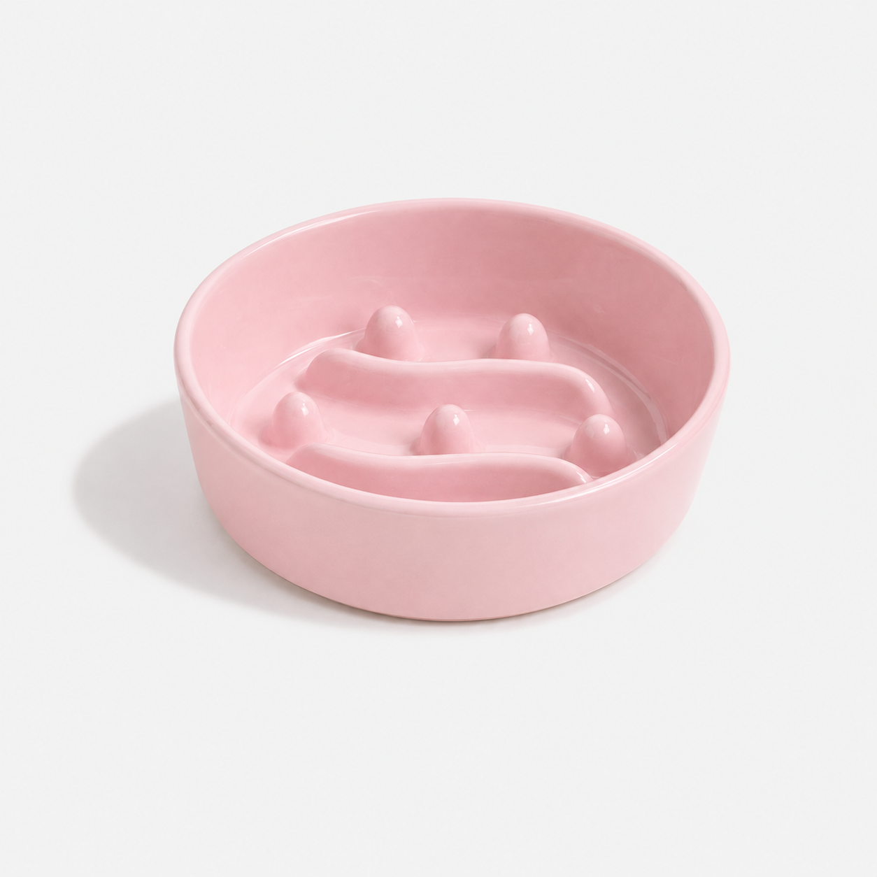 Premium Ceramic Slow Feeder Bowl for Dogs & Cats