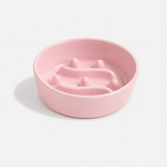 Premium Ceramic Slow Feeder Bowl for Dogs & Cats