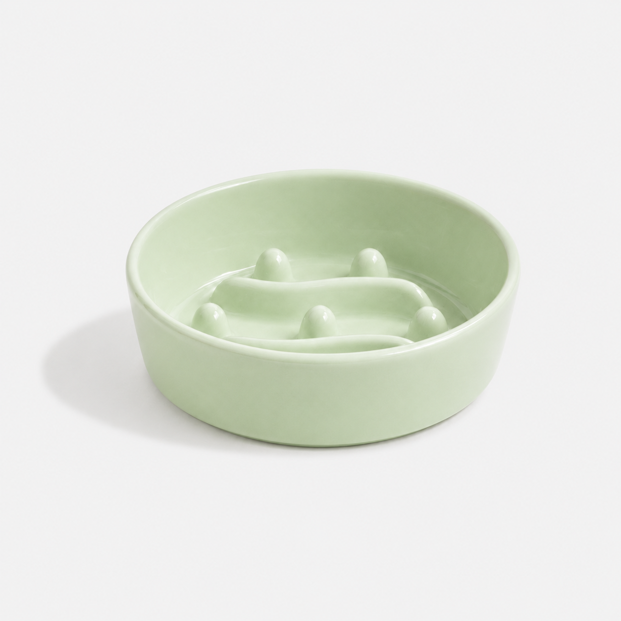 Premium Ceramic Slow Feeder Bowl for Dogs & Cats