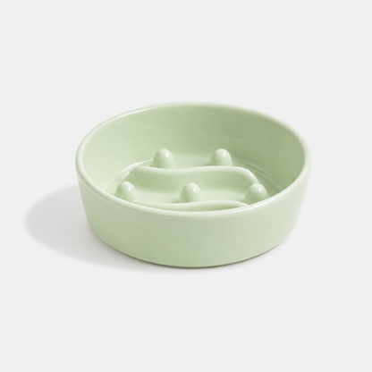 🎁 Premium Ceramic Slow Feeder Bowl for Dogs & Cats (100% off)